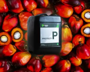Fertilizante Protect-P x 10 Litros ( Palma)